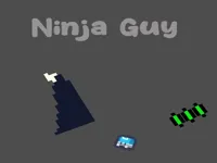 נינג׳ה גאי image
