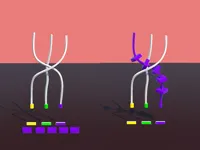 Twisted Rods image