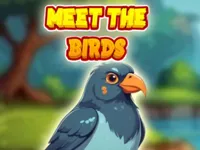 Meet The Birds image